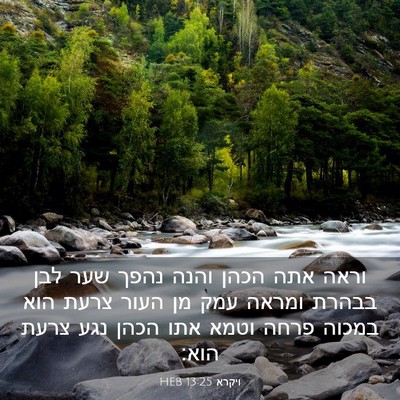 Picture 03 - ויקרא 13:25 HEB - וראה אתה הכהן והנה נהפך שער - Bible Verse Picture