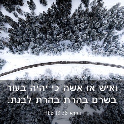 Picture 03 - ויקרא 13:38 HEB - ואיש או אשה כי יהיה בעור - Bible Verse Picture