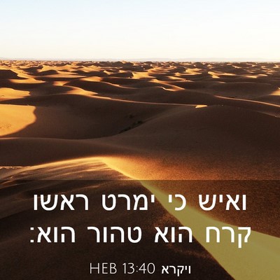 Picture 03 - ויקרא 13:40 HEB - ואיש כי ימרט ראשו קרח הוא - Bible Verse Picture