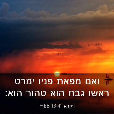 Picture 03 - ויקרא 13:41 HEB - ואם מפאת פניו ימרט ראשו גבח - Bible Verse Picture