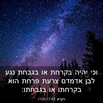 Picture 03 - ויקרא 13:42 HEB - וכי יהיה בקרחת או בגבחת נגע - Bible Verse Picture