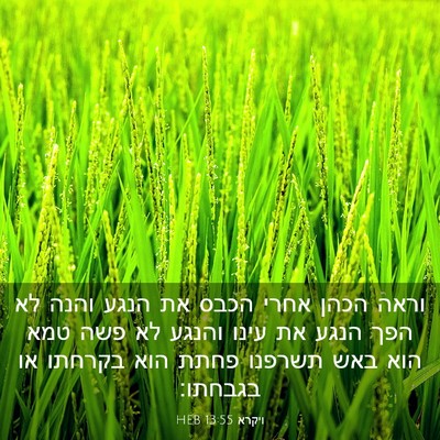 Picture 03 - ויקרא 13:55 HEB - וראה הכהן אחרי הכבס את הנגע - Bible Verse Picture