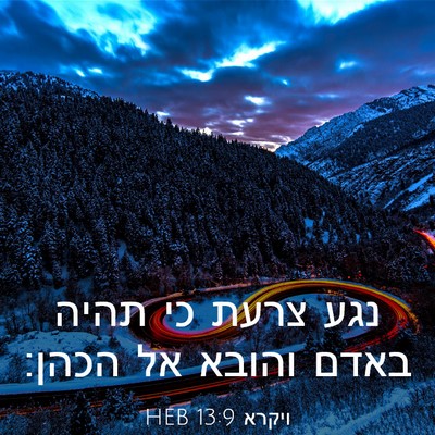 Picture 03 - ויקרא 13:9 HEB - נגע צרעת כי תהיה באדם והובא - Bible Verse Picture