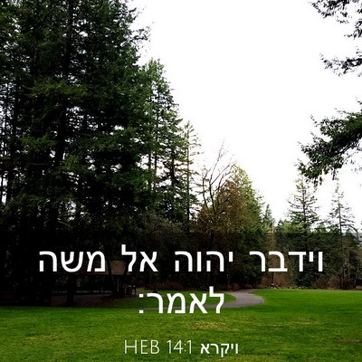 Picture 03 - ויקרא 14:1 HEB - וידבר יהוה אל משה - Bible Verse Picture
