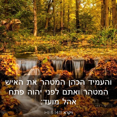 Picture 03 - ויקרא 14:11 HEB - והעמיד הכהן המטהר את האיש - Bible Verse Picture