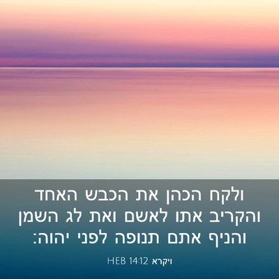 Picture 03 - ויקרא 14:12 HEB - ולקח הכהן את הכבש האחד - Bible Verse Picture