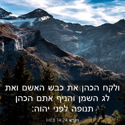 Picture 03 - ויקרא 14:24 HEB - ולקח הכהן את כבש האשם ואת - Bible Verse Picture