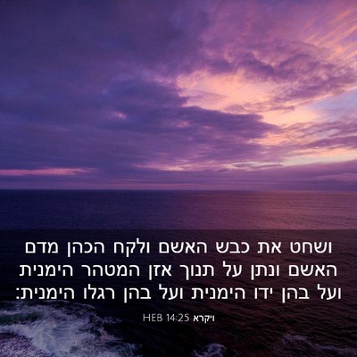 Picture 03 - ויקרא 14:25 HEB - ושחט את כבש האשם ולקח הכהן - Bible Verse Picture