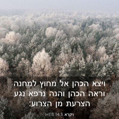 Picture 03 - ויקרא 14:3 HEB - ויצא הכהן אל מחוץ למחנה - Bible Verse Picture