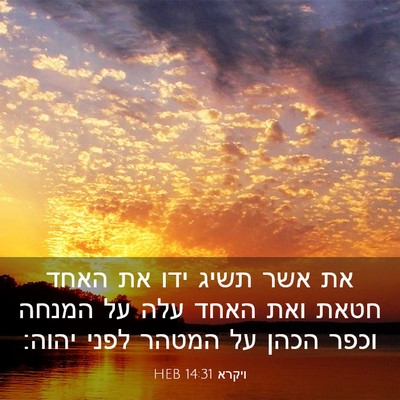 Picture 03 - ויקרא 14:31 HEB - את אשר תשיג ידו את האחד - Bible Verse Picture