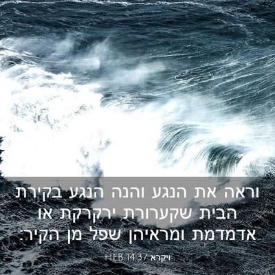 Picture 03 - ויקרא 14:37 HEB - וראה את הנגע והנה הנגע - Bible Verse Picture
