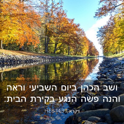 Picture 03 - ויקרא 14:39 HEB - ושב הכהן ביום השביעי וראה - Bible Verse Picture
