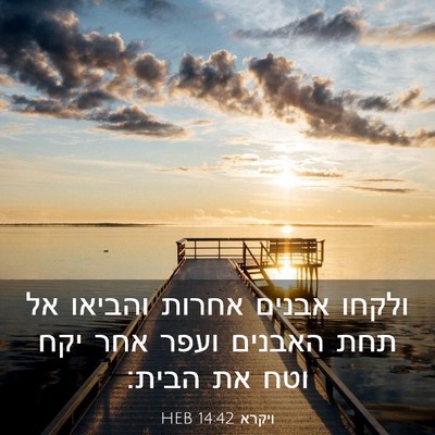 Picture 03 - ויקרא 14:42 HEB - ולקחו אבנים אחרות והביאו - Bible Verse Picture