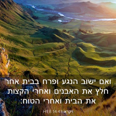 Picture 03 - ויקרא 14:43 HEB - ואם ישוב הנגע ופרח בבית אחר - Bible Verse Picture