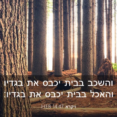 Picture 03 - ויקרא 14:47 HEB - והשכב בבית יכבס את בגדיו - Bible Verse Picture