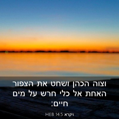 Picture 03 - ויקרא 14:5 HEB - וצוה הכהן ושחט את הצפור - Bible Verse Picture