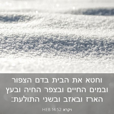 Picture 03 - ויקרא 14:52 HEB - וחטא את הבית בדם הצפור - Bible Verse Picture