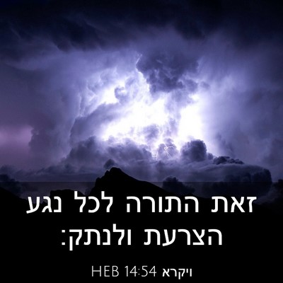 Picture 03 - ויקרא 14:54 HEB - זאת התורה לכל נגע הצרעת - Bible Verse Picture