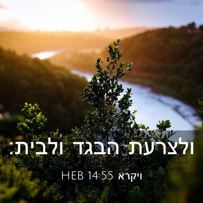 Picture 03 - ויקרא 14:55 HEB - ולצרעת הבגד - Bible Verse Picture