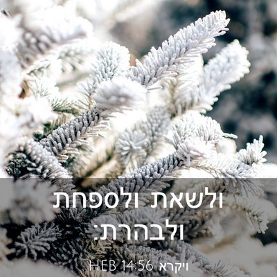 Picture 03 - ויקרא 14:56 HEB - ולשאת ולספחת - Bible Verse Picture