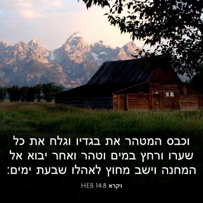 Picture 03 - ויקרא 14:8 HEB - וכבס המטהר את בגדיו וגלח את - Bible Verse Picture