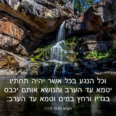 Picture 03 - ויקרא 15:10 HEB - וכל הנגע בכל אשר יהיה תחתיו - Bible Verse Picture