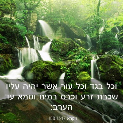 Picture 03 - ויקרא 15:17 HEB - וכל בגד וכל עור אשר יהיה - Bible Verse Picture