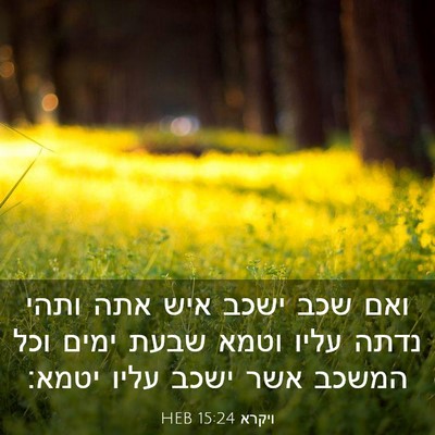 Picture 03 - ויקרא 15:24 HEB - ואם שכב ישכב איש אתה ותהי - Bible Verse Picture