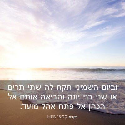 Picture 03 - ויקרא 15:29 HEB - וביום השמיני תקח לה שתי - Bible Verse Picture