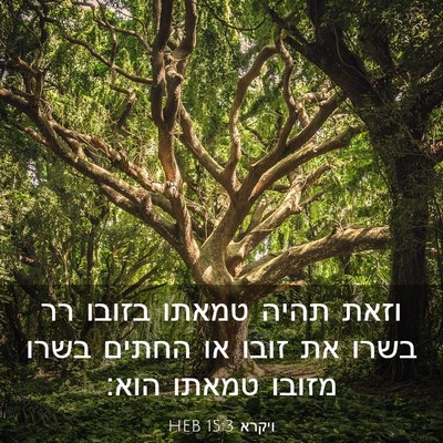 Picture 03 - ויקרא 15:3 HEB - וזאת תהיה טמאתו בזובו רר - Bible Verse Picture