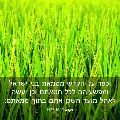 Picture 03 - ויקרא 16:16 HEB - וכפר על הקדש מטמאת בני - Bible Verse Picture