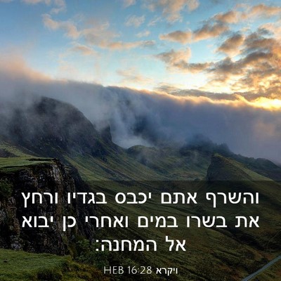Picture 03 - ויקרא 16:28 HEB - והשרף אתם יכבס בגדיו ורחץ - Bible Verse Picture