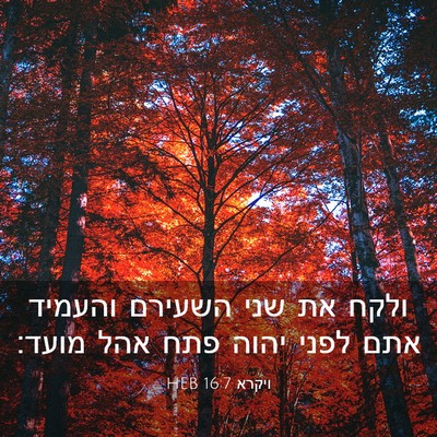 Picture 03 - ויקרא 16:7 HEB - ולקח את שני השעירם והעמיד - Bible Verse Picture