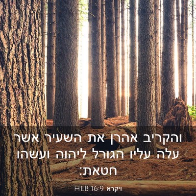 Picture 03 - ויקרא 16:9 HEB - והקריב אהרן את השעיר אשר - Bible Verse Picture