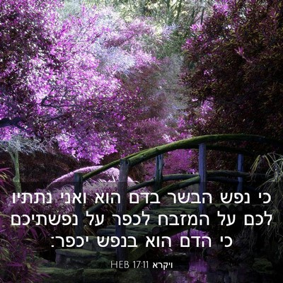 Picture 03 - ויקרא 17:11 HEB - כי נפש הבשר בדם הוא ואני - Bible Verse Picture
