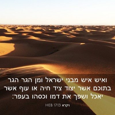 Picture 03 - ויקרא 17:13 HEB - ואיש איש מבני ישראל ומן הגר - Bible Verse Picture