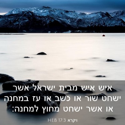 Picture 03 - ויקרא 17:3 HEB - איש איש מבית ישראל אשר ישחט - Bible Verse Picture