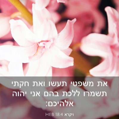 Picture 03 - ויקרא 18:4 HEB - את משפטי תעשו ואת חקתי - Bible Verse Picture