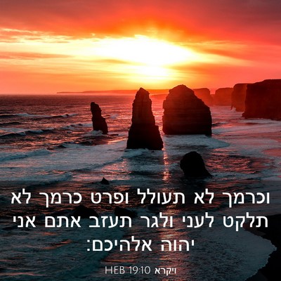 Picture 03 - ויקרא 19:10 HEB - וכרמך לא תעולל ופרט כרמך לא - Bible Verse Picture
