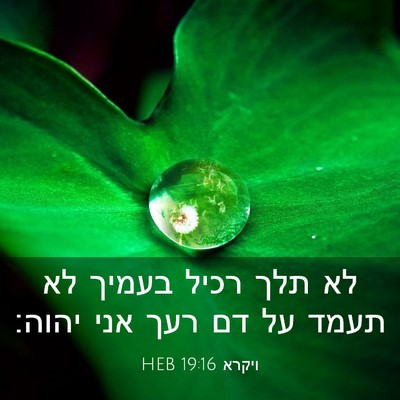 Picture 03 - ויקרא 19:16 HEB - לא תלך רכיל בעמיך לא תעמד - Bible Verse Picture