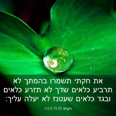 Picture 03 - ויקרא 19:19 HEB - את חקתי תשמרו בהמתך לא - Bible Verse Picture