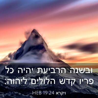 Picture 03 - ויקרא 19:24 HEB - ובשנה הרביעת יהיה כל פריו - Bible Verse Picture