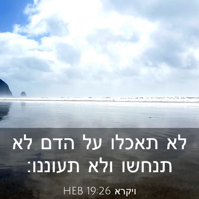 Picture 03 - ויקרא 19:26 HEB - לא תאכלו על הדם לא תנחשו - Bible Verse Picture