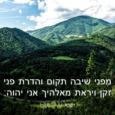 Picture 03 - ויקרא 19:32 HEB - מפני שיבה תקום והדרת פני - Bible Verse Picture
