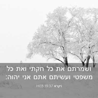 Picture 03 - ויקרא 19:37 HEB - ושמרתם את כל חקתי ואת כל - Bible Verse Picture