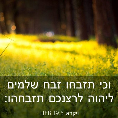Picture 03 - ויקרא 19:5 HEB - וכי תזבחו זבח שלמים ליהוה - Bible Verse Picture