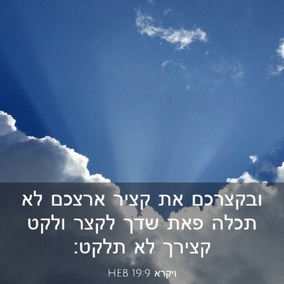Picture 03 - ויקרא 19:9 HEB - ובקצרכם את קציר ארצכם לא - Bible Verse Picture