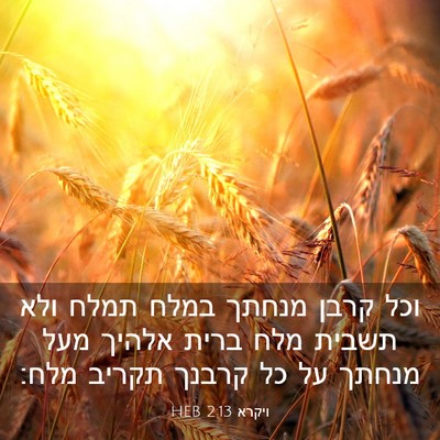 Picture 03 - ויקרא 2:13 HEB - וכל קרבן מנחתך במלח תמלח - Bible Verse Picture