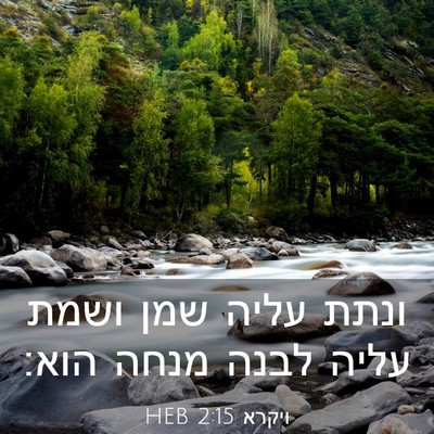 Picture 03 - ויקרא 2:15 HEB - ונתת עליה שמן ושמת עליה - Bible Verse Picture