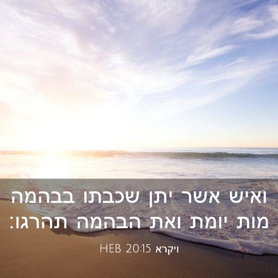 Picture 03 - ויקרא 20:15 HEB - ואיש אשר יתן שכבתו בבהמה - Bible Verse Picture